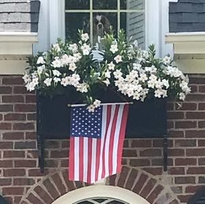 Meet your Posher, Amanda sibley